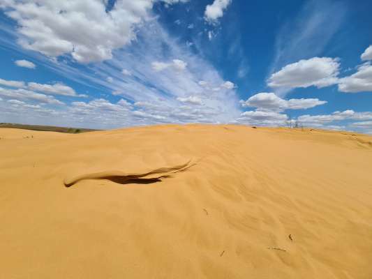 The Sands of Kalmykia