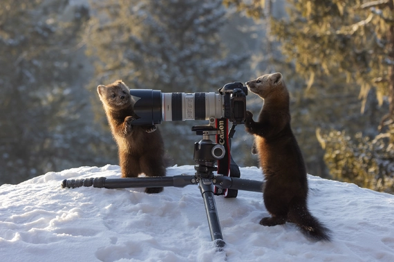 МАСТЕР-КЛАСС ПО ФОТОИСКУССТВУ